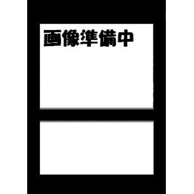 画像1: クレイテストチャンピオン認定証 カード  (ムシキング)