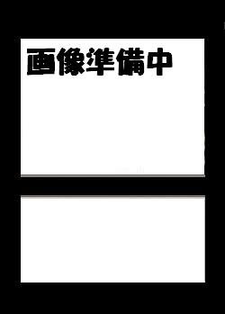 画像1: クレイテストチャンピオン認定証 カード  (ムシキング) (1)